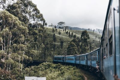 ella train | chauffeuremillankatours.com